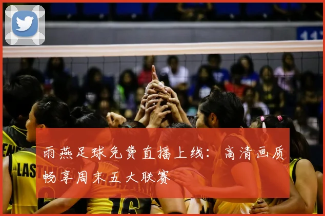 雨燕足球免费直播上线：高清画质畅享周末五大联赛