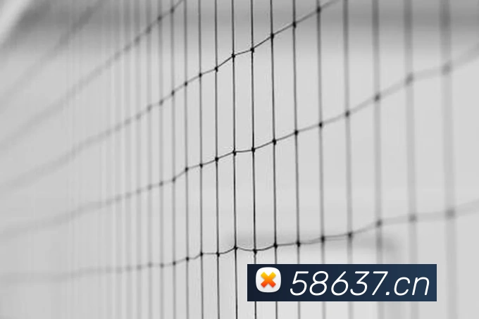 App Interface Preview